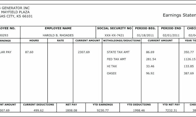 Word Document Pay Stub Template