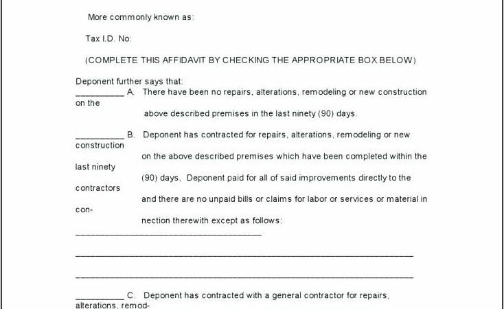 Word Template For Affidavit South Africa