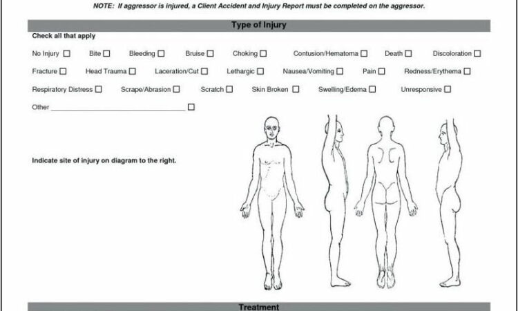 Work Accident Report Form Template Free