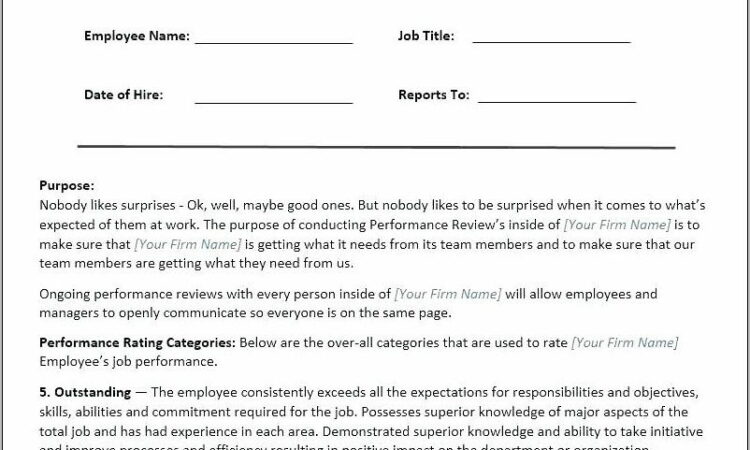 Work Appraisal Report Sample