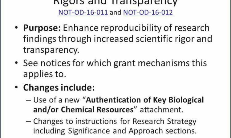 Writing A Research Grant Proposal Sample