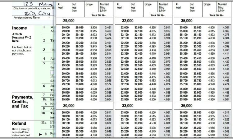 1040ez Line 5 Worksheet Instructions 2014