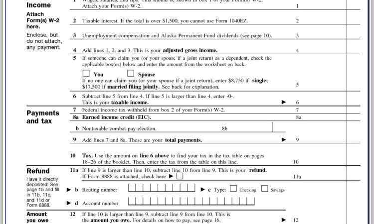 1040ez Printable Form 2015