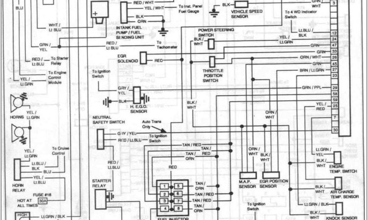 1988 Ford Mustang Wiring Diagram