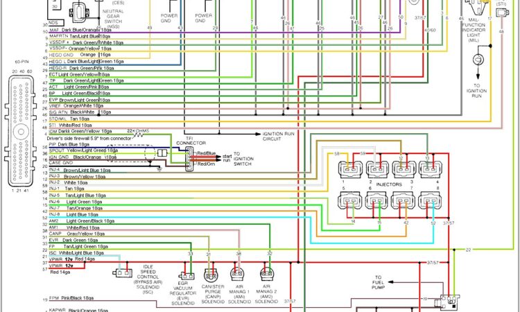 1989 Ford Mustang Wiring Diagram