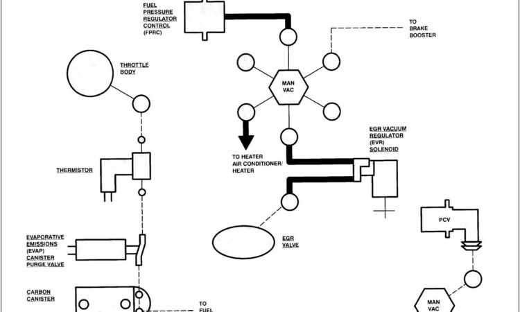 1997 Ford Ranger Vacuum Diagram