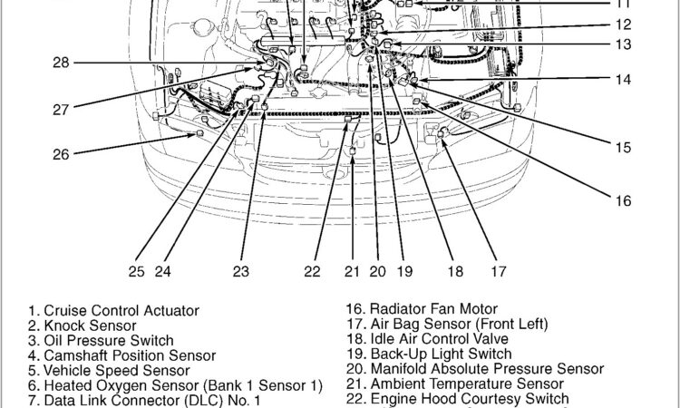 1999 Camry Engine Diagram