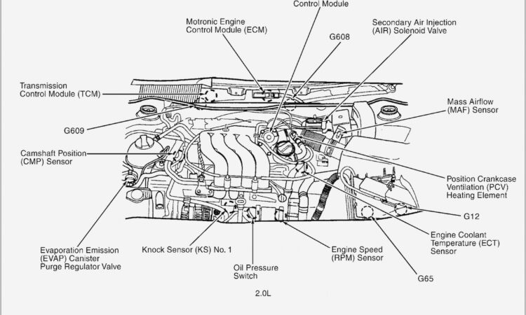 2000 Vw Beetle Engine Diagram