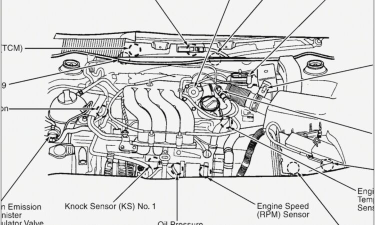 2000 Vw Passat Engine Diagram