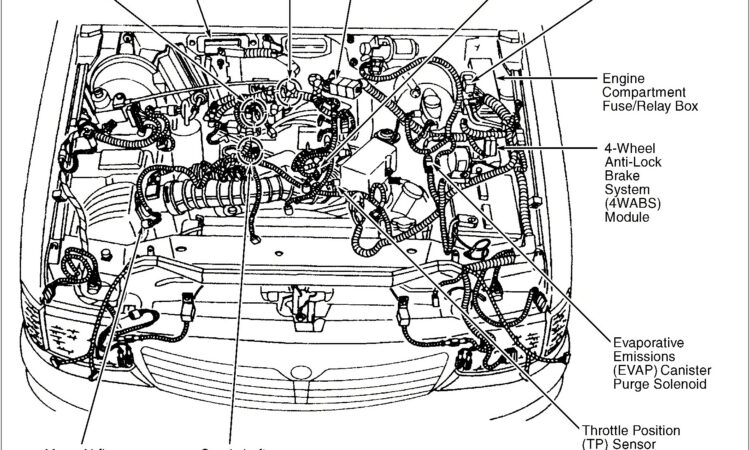 2001 Ford Escape Ignition Coil Diagram