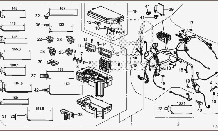 2006 Honda Pilot Headlight Bulb Diagram