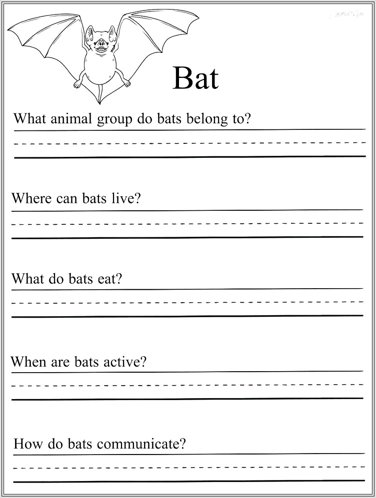 2nd Grade Bat Worksheets