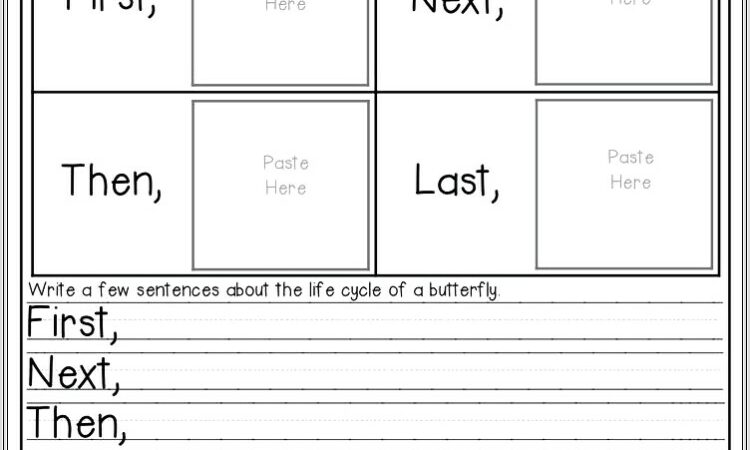 2nd Grade Butterfly Worksheets