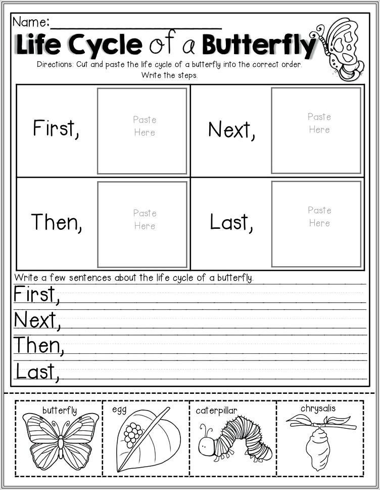 2nd Grade Butterfly Worksheets