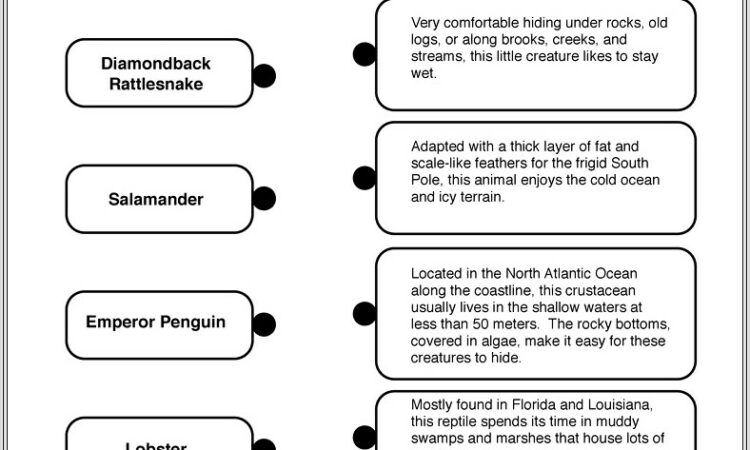 2nd Grade Ecosystems Worksheets