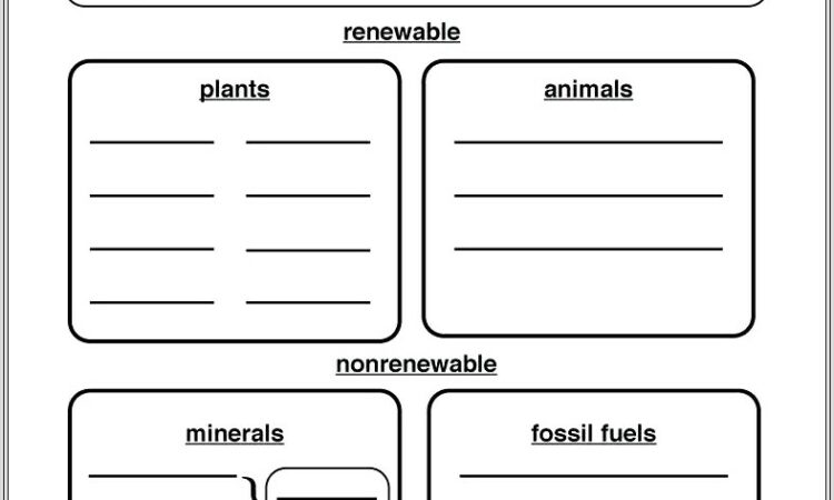 2nd Grade Environment Worksheets