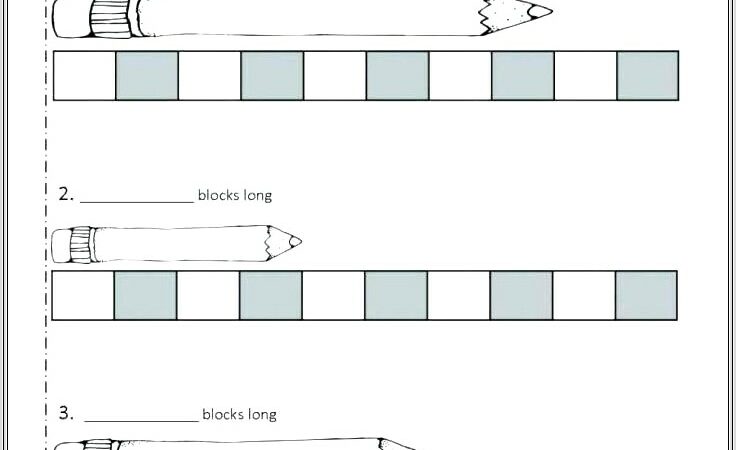 2nd Grade Inches Worksheets