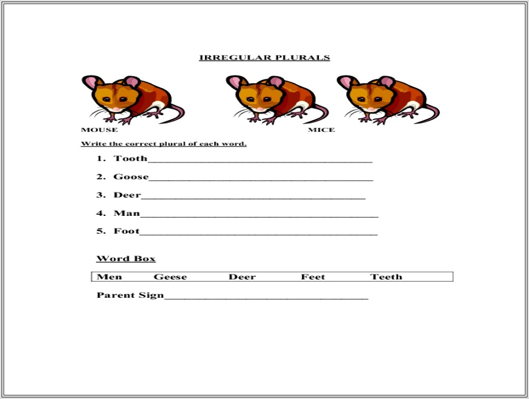 2nd Grade Irregular Plurals Worksheet