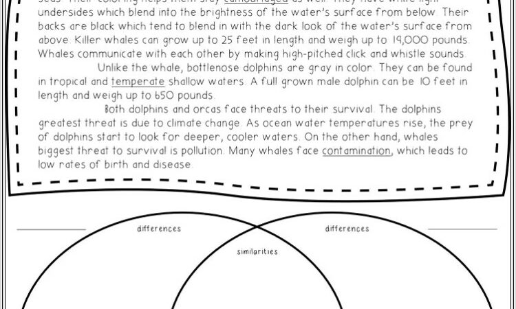 2nd Grade Worksheets Compare And Contrast