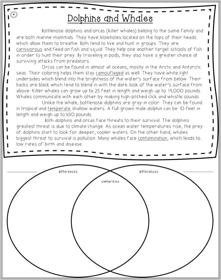2nd Grade Worksheets Compare And Contrast