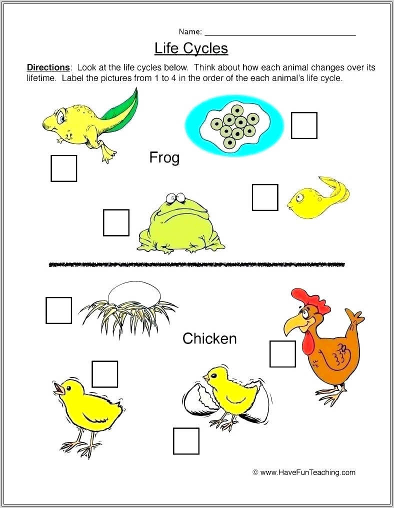 2nd Grade Worksheets On Natural Resources