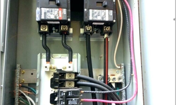 3 Phase Surge Protector Wiring Diagram