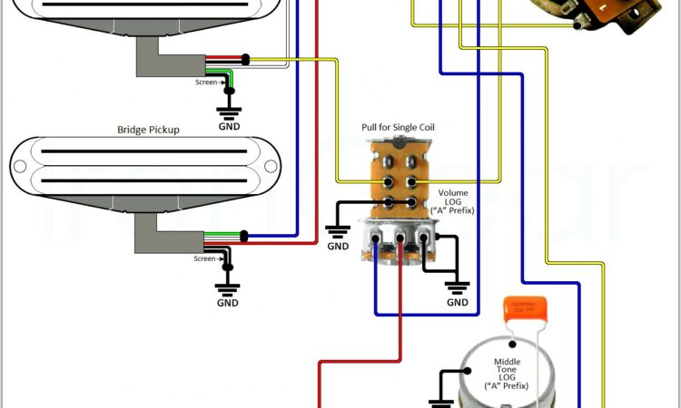 3 Wire Single Coil Pickup Wiring Diagram