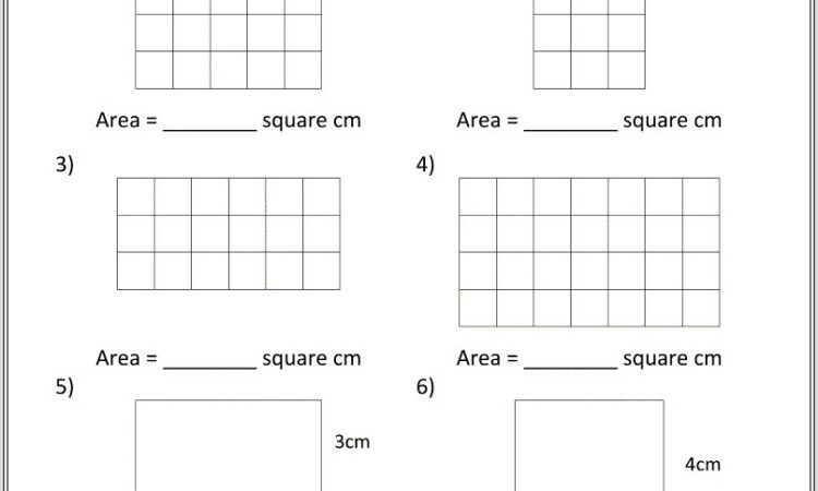 3rd Grade Area Worksheet