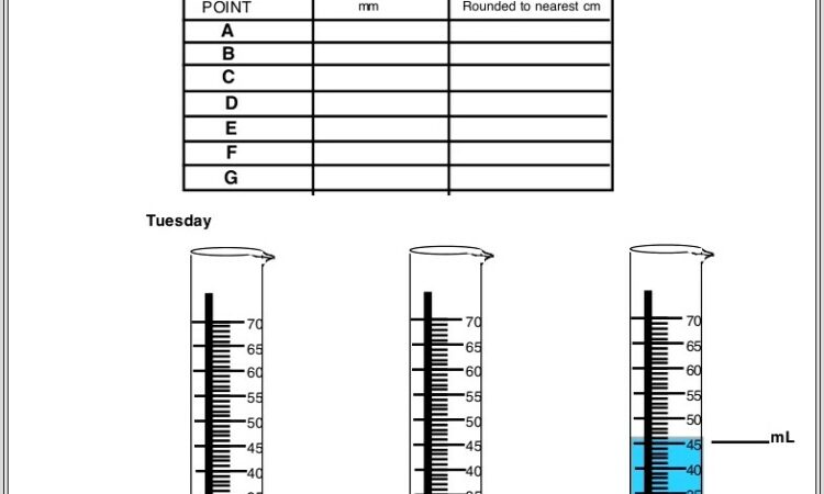 3rd Grade Density Worksheet