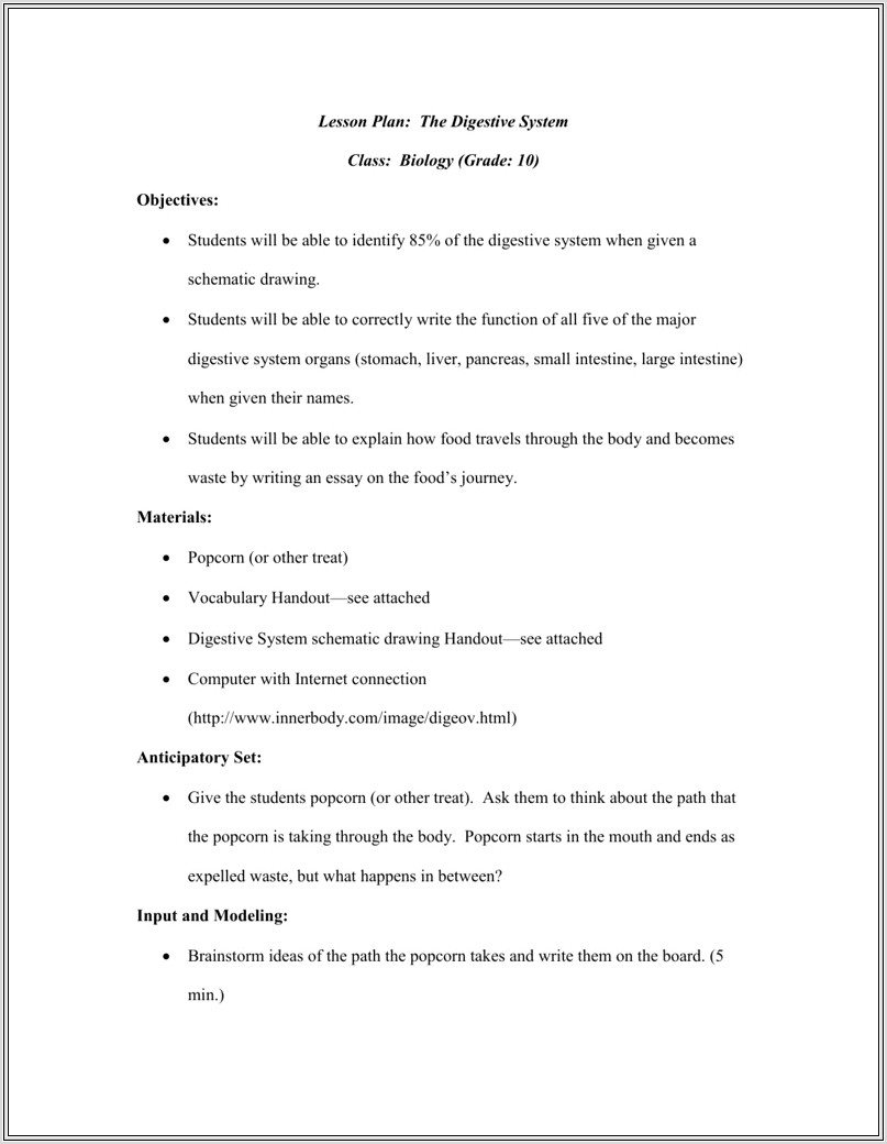 3rd Grade Digestion Worksheets