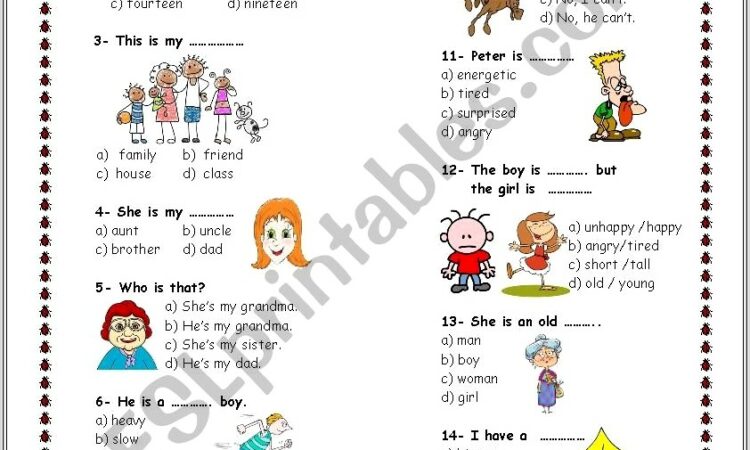 3rd Grade English Vocabulary Worksheets