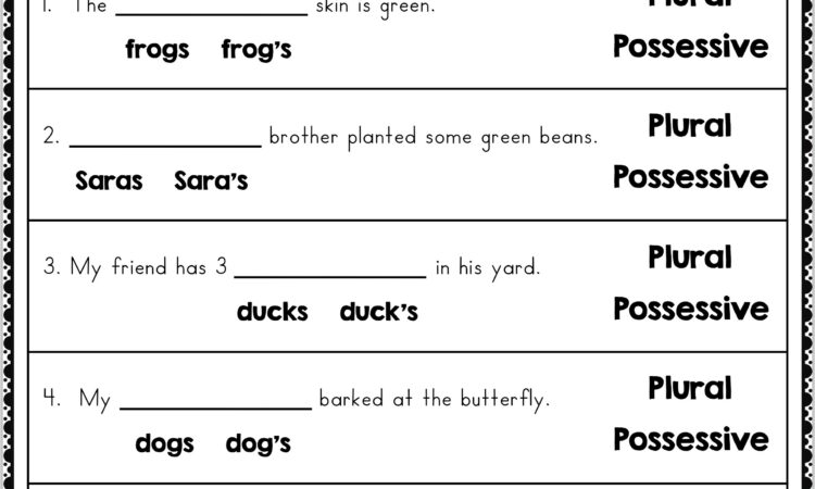 3rd Grade Generalization Worksheets