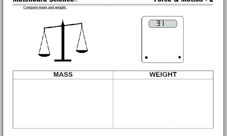 3rd Grade Gravity Worksheets