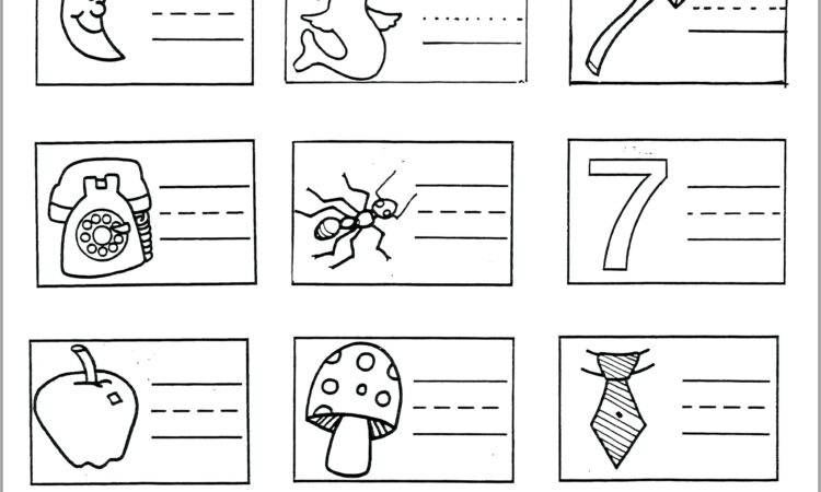 3rd Grade Homeschool Worksheets