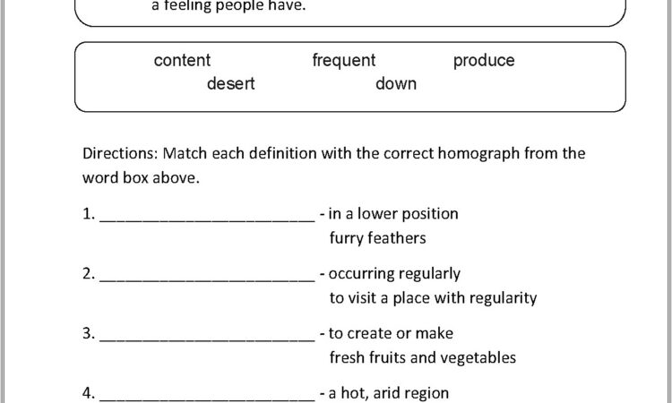 3rd Grade Homographs Worksheets