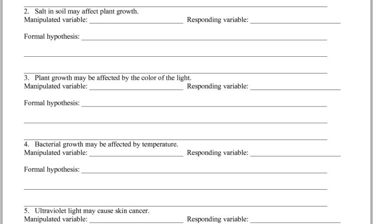 3rd Grade Hypothesis Worksheet