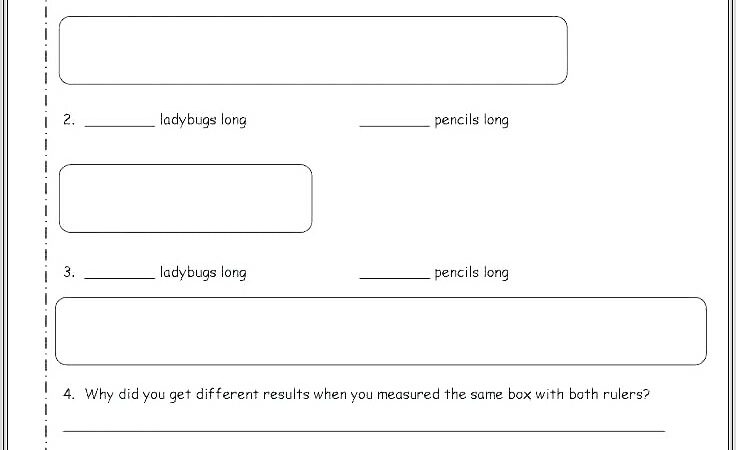 3rd Grade Length Worksheets