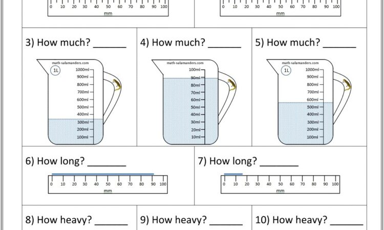 3rd Grade Measurement Worksheet