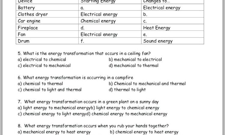 3rd Grade Science Worksheets Light