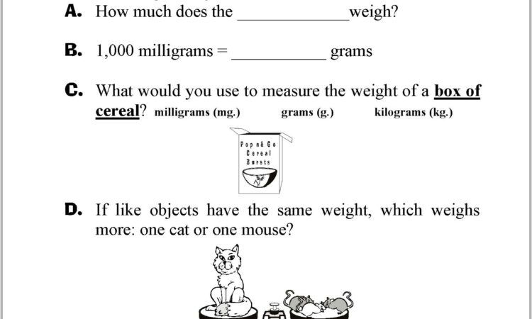 3rd Grade Weight Worksheets