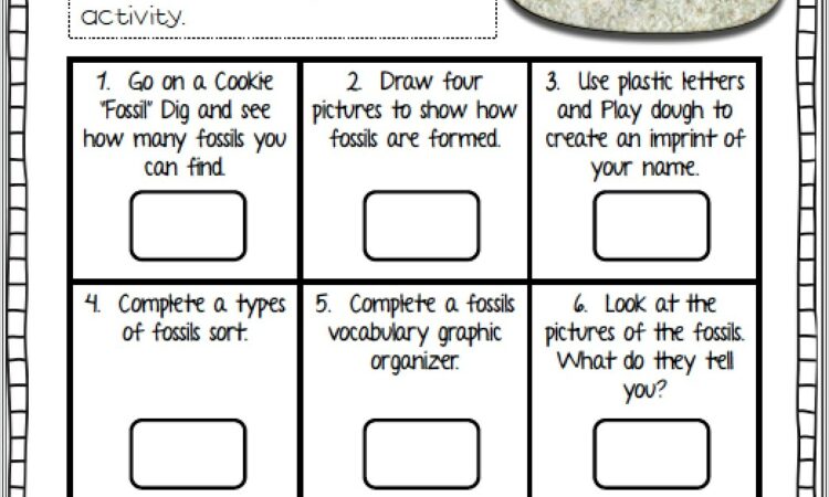 3rd Grade Worksheets Fossils