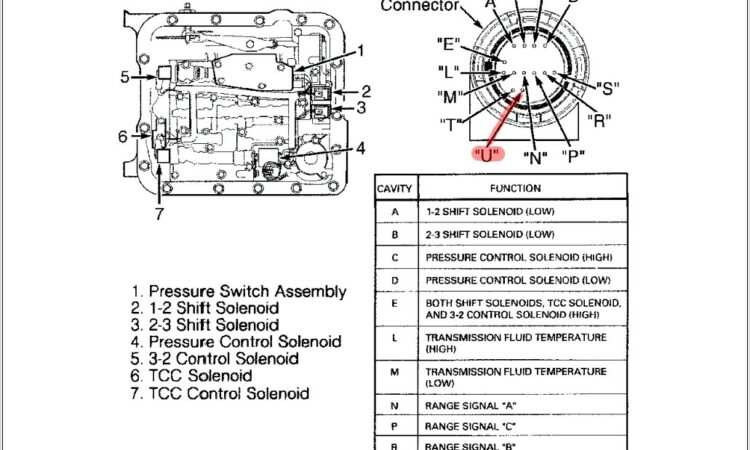 4l60e Transmission External Wiring Harness Diagram