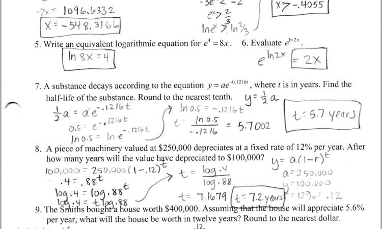 5th Grade Math Worksheet Review