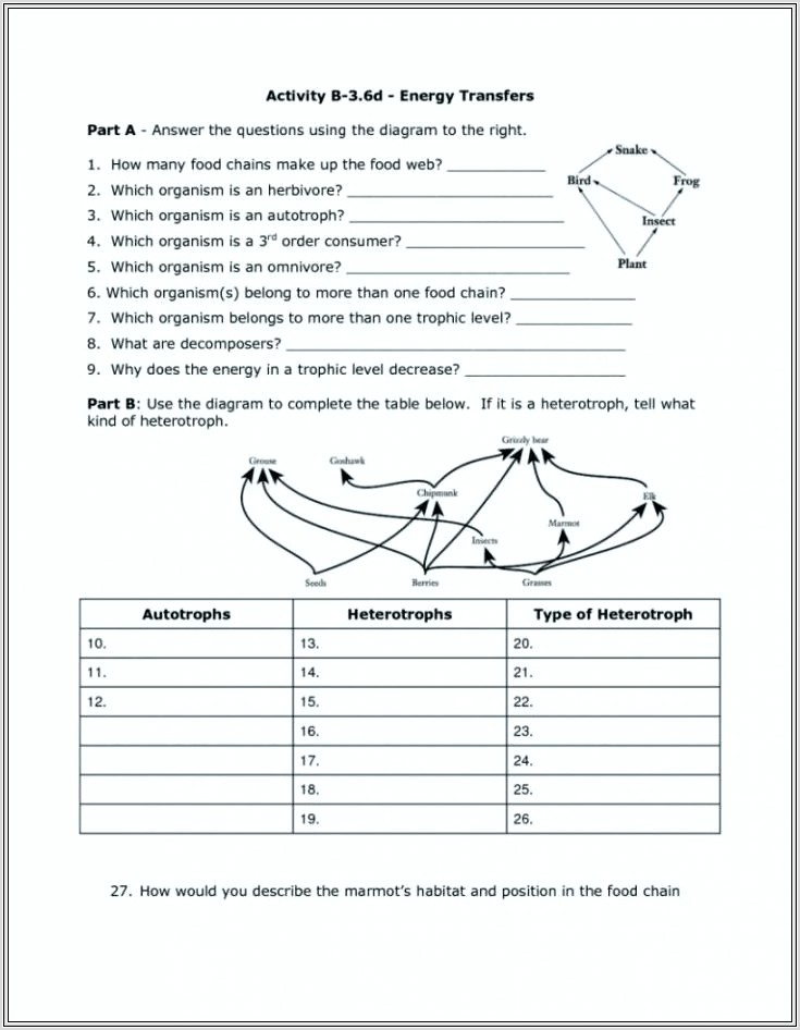 5th Grade Science Food Web Worksheets