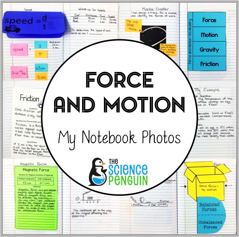 5th Grade Science Force And Motion Quiz