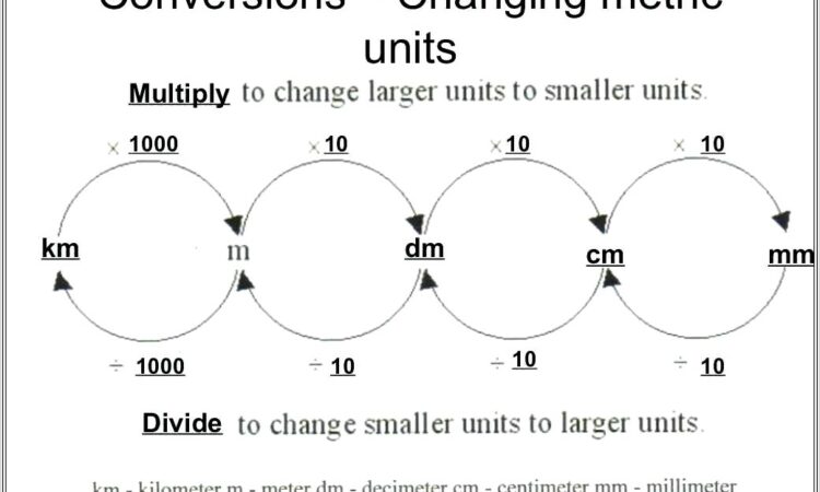 5th Grade Science Quiz Worksheets