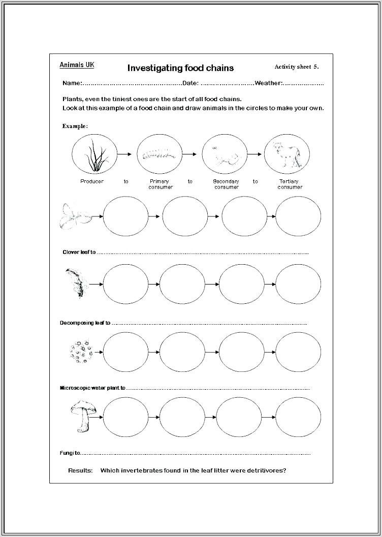 5th Grade Science Worksheets Ecosystem