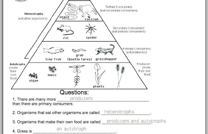 5th Grade Science Worksheets On Weather