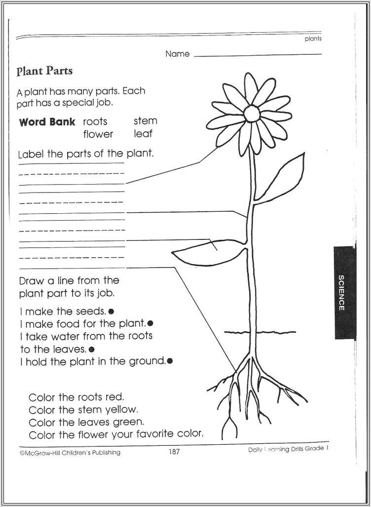 5th Grade Science Worksheets Plants