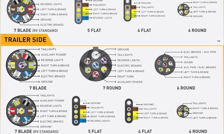 7 Blade Trailer Plug Wiring Diagram